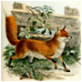 #3