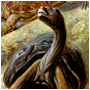 #6